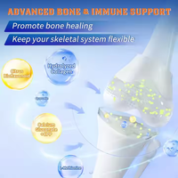 Complément en capsules de Glucosamine, Chondroïtine et MSM, directement de l'usine (OEM/ODM) - Complément combiné pour hommes et femmes