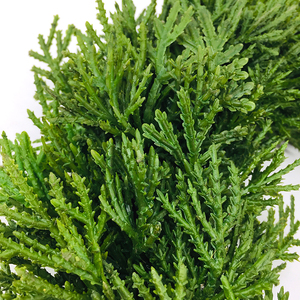 सबसे अच्छा बेच त्योहार उत्सव के लिए हरी पत्ती पुष्पांजलि देवदार पुष्पांजलि मोमबत्ती सर्कल - Product Image 4