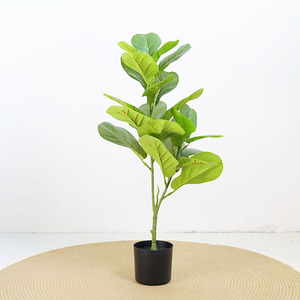Fabbrica diretta pianta <span class=keywords><strong>artificiale</strong></span> all'ingrosso nuovo design <span class=keywords><strong>cactus</strong></span> <span class=keywords><strong>artificiale</strong></span> albero per la decorazione della casa - Product Image 6