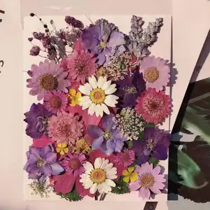M395 искусство по изготовлению свадебных открыток из смолы искусство Скрапбукинг сухие плоские прессованные цветы Смешанная упаковка натуральные сухие прессованные цветы