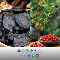 Complément alimentaire en capsules de Rehmannia, baies de goji, eucommia et maca pour la santé masculine, fournissant de l'énergie, capsules de maca, OEM/ODM