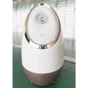 Prodotti di bellezza Palmare Nano Volto A Spruzzo Elettrico Vapore Sauna Facciale Steamer