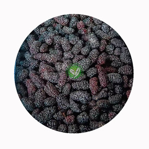 Mûres surgelées IQF XMSD pour garnitures <span class=keywords><strong>de</strong></span> pâtisserie et préparation <span class=keywords><strong>de</strong></span> fruits, avec exécution <span class=keywords><strong>de</strong></span> recettes OEM et contrôle <span class=keywords><strong>de</strong></span> conformité - Product Image 6