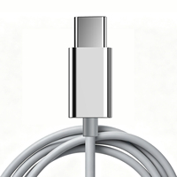 Écouteurs filaires chromés de haute qualité ODM avec haut-parleurs à diaphragme composite, interface Type-C et micro