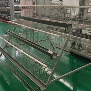 Cage à poulets de type A en fil métallique résistant à la rouille, cage à étages, équipement durable pour l'élevage - Product Image 5