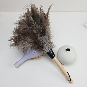 <span class=keywords><strong>Prix</strong></span> <span class=keywords><strong>d</strong></span>'usine, vente en gros, fournitures de nettoyage lavables, mini plumeau en plumes <span class=keywords><strong>d</strong></span>'autruche de 14 pouces pour voiture, bureau, clavier - Product Image 4