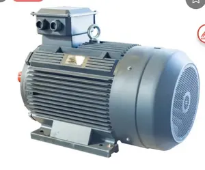 Dökme demir 1.5Hp 220V Ac Motor tek fazlı çift kapasitör elektrik motorları indüksiyon motoru