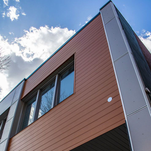 Nhà máy cung cấp biệt thự mặt tiền Trắng bảng bên ngoài ngoài ngoài trời WPC bên ngoài bức tường Ốp - Product Image 6