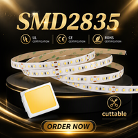Bande LED blanche 2835 12V 24V, prix usine, 10mm, flexible, ruban FPC, 2200-6500K, CRI 90, IP65, découpable, décoration intérieure