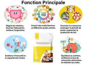 Suplemento de minerales y vitaminas para caballos, refuerzo del crecimiento de ganado y ovejas, Booster de croissance des bovins et des ovins - Product Image 2
