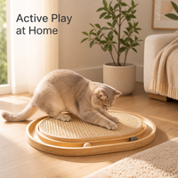 Arbre à chat interactif de luxe en bois écologique, emballage carton, toutes saisons, best-seller