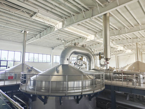Usine de production de bière complète de 350 000 HL par an, du brassage à l'embouteillage et au conditionnement - Product Image 2