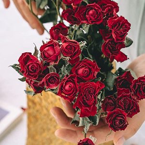 Rosas secas naturales, el más popular, regalo del Día de San Valentín, 2022 - Product Image 4