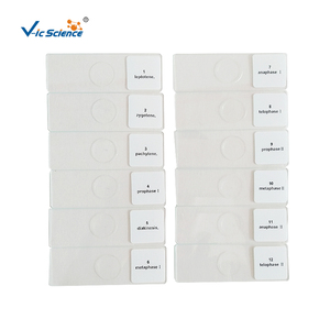 Oferta Especial: Set de Cinco Portaobjetos Preparados de Punta de Raíz de Cebolla para <span class=keywords><strong>Mitosis</strong></span>, Set de <span class=keywords><strong>Mitosis</strong></span> de Cebolla, Set de <span class=keywords><strong>Mitosis</strong></span> Vegetal - Product Image 5