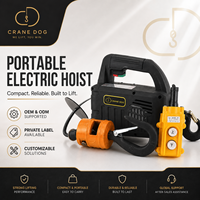 Palans électriques portables légers, silencieux et faciles à utiliser pour garage, maison, bricolage, petit outil de levage, câble métallique, 1 tonne, 12,8 m/min