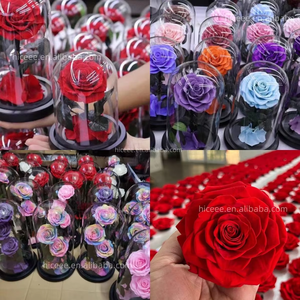 Custom Eternal Rose Flowers San Valentín Morthers Day Gift Everlasting Preserved Flower Forever Roses in Glass Dome - Product Image 6