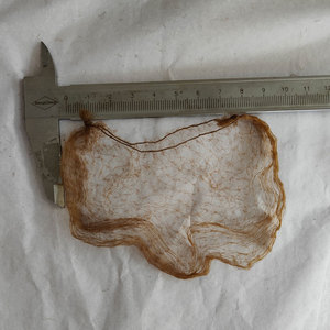 CJ886 28cm Red de pelo de nylon más popular Red de pelo negro Red de malla desechable - Product Image 2