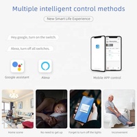 Interruptor WiFi OEM/ODM de Fábrica para la Aplicación Smart Life, Sin Neutro, Compatible con Google Assistant y Alexa, Interruptor Táctil de Pared de Vidrio Templado de 2 Canales, 10A
