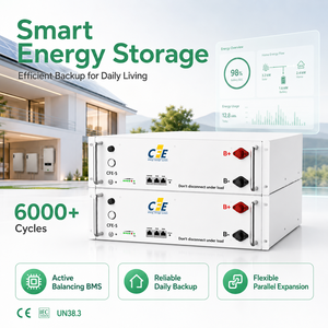 Batería LiFePO4 <span class=keywords><strong>CFE</strong></span> 51.2V 100Ah 5kWh para Hogar, ESS de 6000 Ciclos, Montaje en Pared, CAN, 5 Años de Garantía para Growatt, Solis, Goodwe - Product Image 2