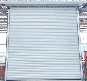 <span class=keywords><strong>Porte</strong></span> <span class=keywords><strong>de</strong></span> <span class=keywords><strong>garage</strong></span> sectionnelle moderne en acier pour extérieur commercial, avec panneaux <span class=keywords><strong>de</strong></span> fenêtres ventilés et cadre métallique, pour villa - Product Image 1
