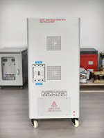 Régulateur de tension triphasé (AVR) TNS personnalisé de 10 kVA à 1000 kVA, roulettes pivotantes à fréquence personnalisée