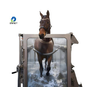 Tapis roulant aquatique pour <span class=keywords><strong>chevaux</strong></span> EUR VET, durable, certifié CE, en acier inoxydable, étanche, équipement vétérinaire de réadaptation - Product Image 2