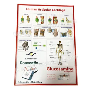 カスタム印刷プラスチック3Dエンボス医療解剖学チャートPVCポスター