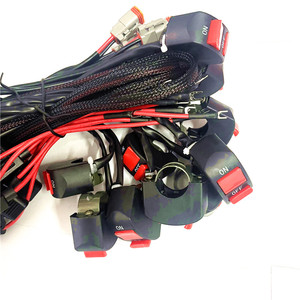 تصنيع المعدات الأصلية ODM <span class=keywords><strong>2</strong></span> دبوس 18AWG DT موصل حامل الصمامات السيارات المخصصة - Product Image 2