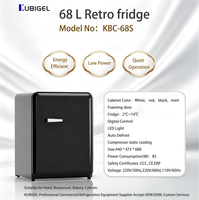 Réfrigérateur compact vertical 68L, dégivrage automatique, verrouillage de la porte, contrôle numérique, refroidissement par air, température unique, multi-prises, éclairage LED
