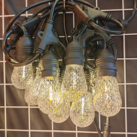 Ampoules LED S14 facettées colorées, culot E26/E27, en plastique, multicolores, ampoules de remplacement pour guirlandes lumineuses de patio, décorations de Noël et de fêtes