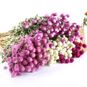 Ramo de Flores Secas Naturales al Por Mayor, Gomphrena, Plantas Secas, Flores Preservadas - Product Image 2