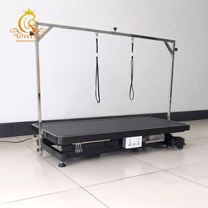 <span class=keywords><strong>Table</strong></span> de toilettage électrique pour animaux de compagnie EUR PET, prix <span class=keywords><strong>d</strong></span>'usine, utilisée pour les cliniques vétérinaires et les hôpitaux - Product Image 3