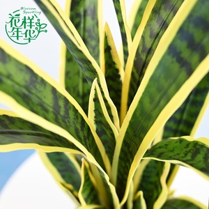 Planta Artificial de <span class=keywords><strong>Sansevieria</strong></span> con Borde Amarillo Realista, 32 Hojas, 96 cm, para Decoración de Casa, Oficina, Centro Comercial, Sala de Estar, Hotel y Comercios - Product Image 3