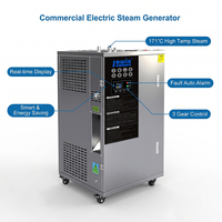 Générateur de vapeur électrique commercial 36KW 50kg/h 0.7MPa en acier inoxydable 304, économie d'énergie 20%-40%, chaudière pour cuisine commerciale