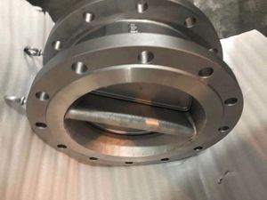 2025 dn250 150lb thép không gỉ cf8m Wafer loại tấm kép h77w bướm kiểm tra van - Product Image 5