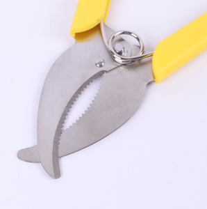 Petits ciseaux de taille-haie abordables, outils de coupe pour vergers, en vente - Product Image 2