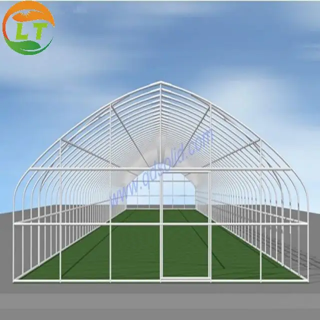 Invernadero de túnel de plástico para agricultura