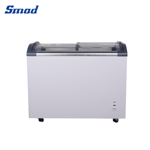 Vitrina Exhibidora de Hielo Smad 230L, Congelador con Puerta Corredera de Vidrio para Carnes Congeladas, para Centros Comerciales DDH-300W4 - Product Image 4