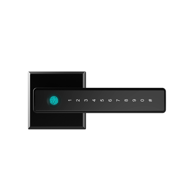 Te'an Quick Shipment Electric Smart Digital Door Lock Handle Lever Locks Fingerprint Password for Home Steel Hotels Wooden