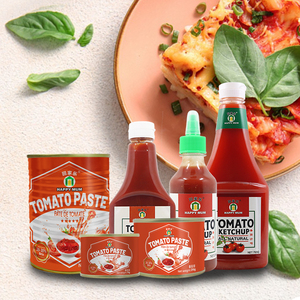 JOLION Vente en gros de pots en fût, marque Happy Mum, usine de fabrication, sachet de sauce chinoise sans sucre, contenant de ketchup tomate - Product Image 2