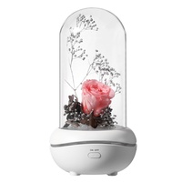 Diffuseur d'aromathérapie créatif en plastique à fleurs éternelles, éclairage d'ambiance sept couleurs, télécommandé, alimenté par USB, lampe aromatique pour la maison