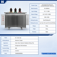 Transformateur de distribution triphasé entièrement scellé immergé dans l'huile 50-2500 kVA sans conservateur pour système de réseau électrique urbain