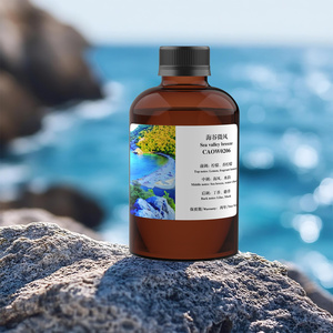 Crearoma Sea Valley Breeze 500ml Fragranza Senz'Acqua per Diffusore Olio Essenziale Lunga Durata Aroma Naturale - Product Image 4