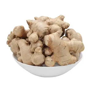 Hot Offers 100% Organic Ginger Whole With Fresh Garde Customized Packing Ready To Ship Best Ginger Exporter