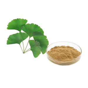 Extrait de feuille de <span class=keywords><strong>Ginkgo</strong></span> <span class=keywords><strong>Biloba</strong></span> naturel en poudre, <span class=keywords><strong>Ginkgo</strong></span> <span class=keywords><strong>Biloba</strong></span> L.extract Lactone 10% - Product Image 1