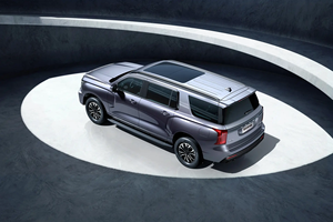 Vente flash : Voiture chinoise Great Wall Haval H5 2025, 2.0T essence, <span class=keywords><strong>innovation</strong></span> de pointe, automatique, quatre roues motrices, conduite à gauche, 200-250 ch, voiture à essence, acheter une voiture - Product Image 5