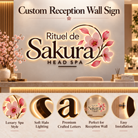 Enseigne de spa rétroéclairée personnalisée, lettres métalliques LED Halo Lit, enseigne murale de réception, logo 3D en métal, enseigne commerciale personnalisée, enseigne murale de salon de beauté