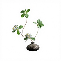 Vase en céramique chinoise rétro fait main, accessoire de table pour salon, fleurs séchées, fleurs hydroponiques pour cérémonie du thé