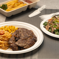 Warmpack Plateau et Assiette en Bagasse Écologiques Compostables Jetables Qualité Alimentaire pour Traiteur et Plats à Emporter Vente en Gros