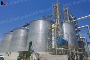 Silo de stockage de céréales en acier galvanisé Bacs de stockage de graines de maïs Bacs de stockage de grandes bacs de stockage de riz - Product Image 6